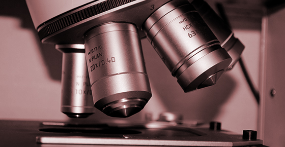 精細化的專業(yè)品質(zhì)